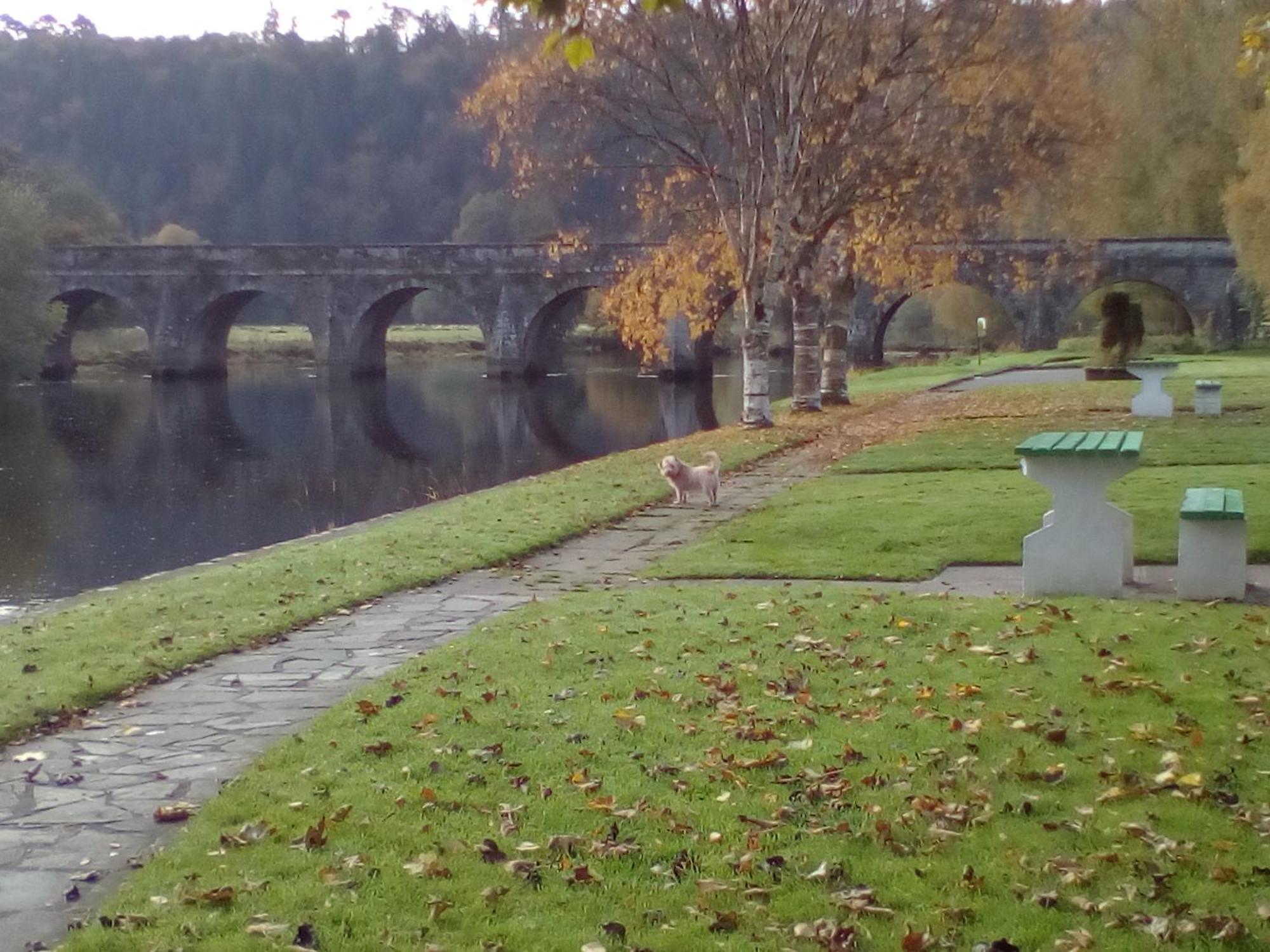 Inistioge Woodstock Arms B&B 외부 사진